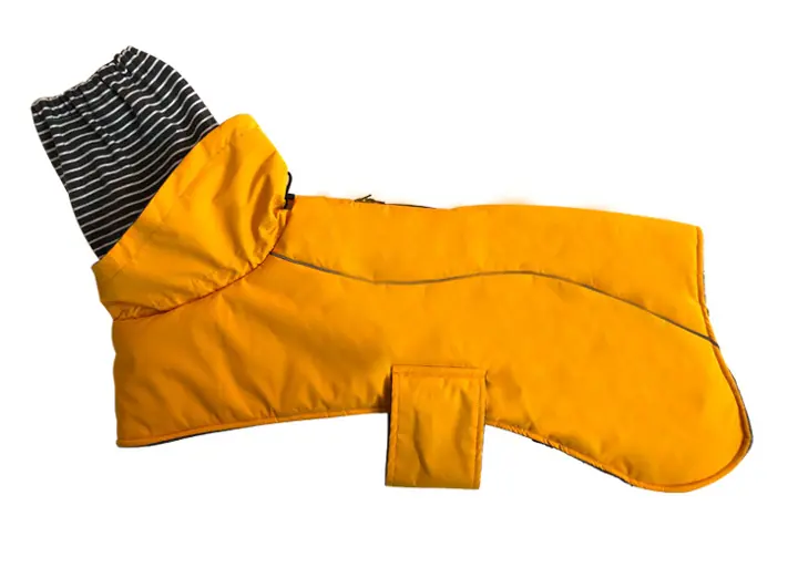 Insulated Dog Coat — style reference BW-C018